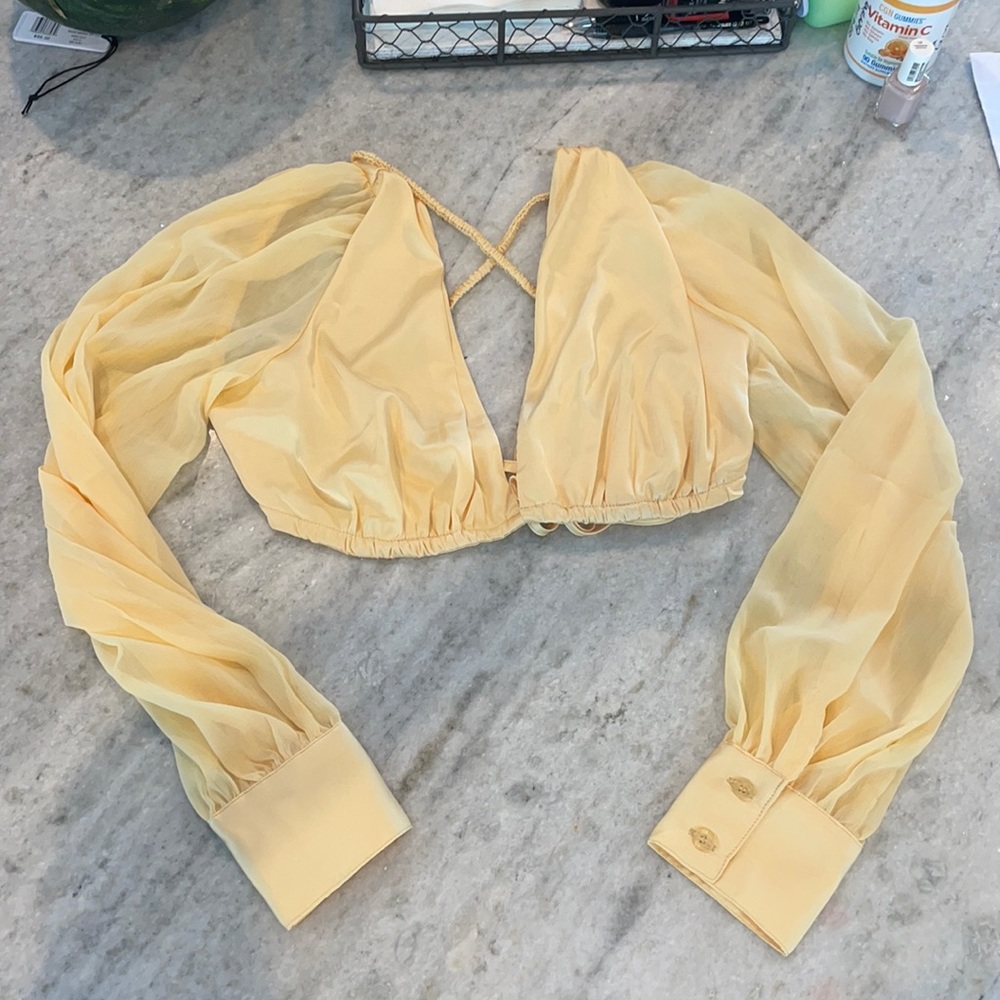 Danielle Bernstein crop spring collection!